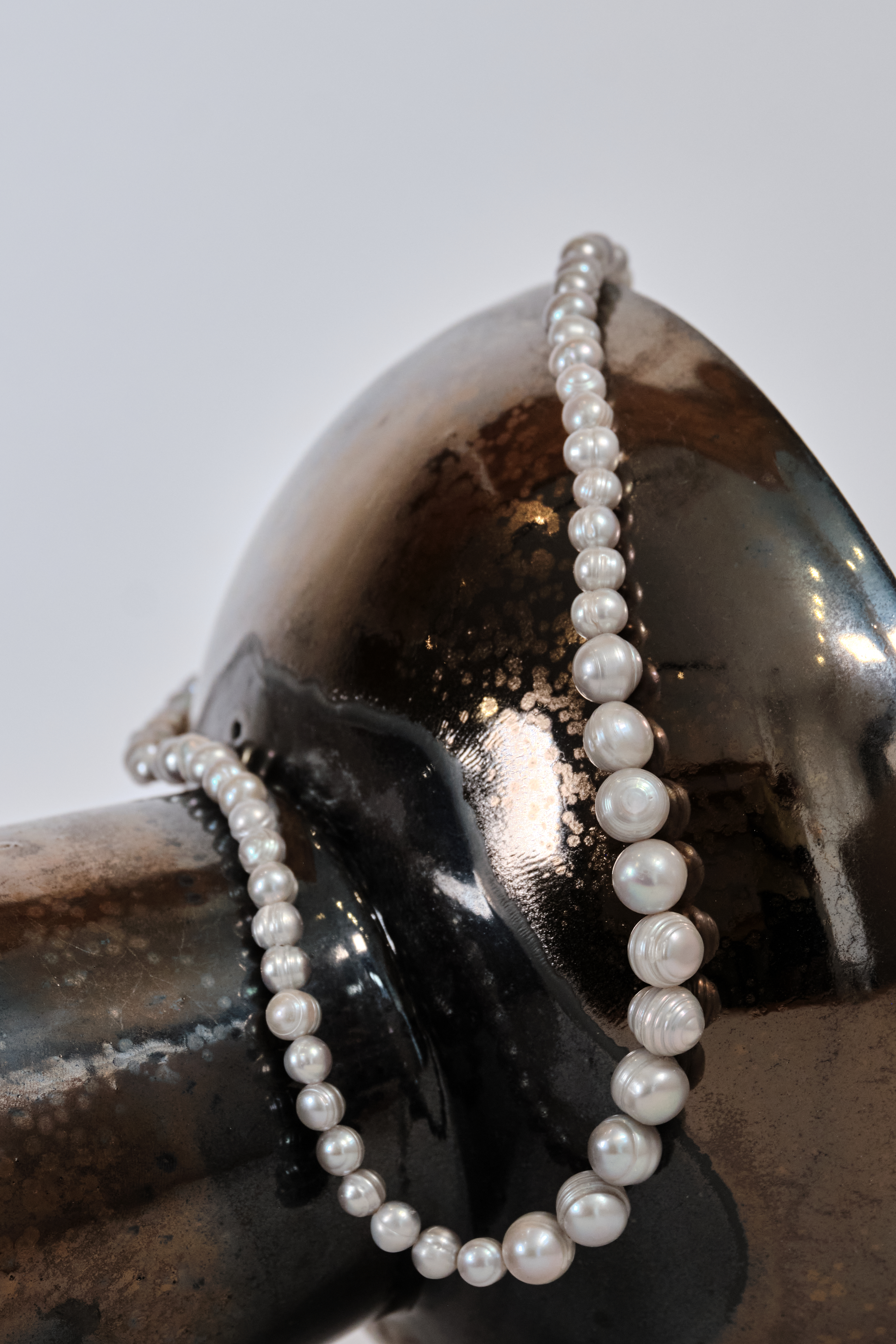 Preservación de perlas Fefina 2